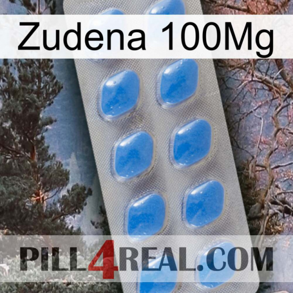 Zudena 100Mg 22.jpg